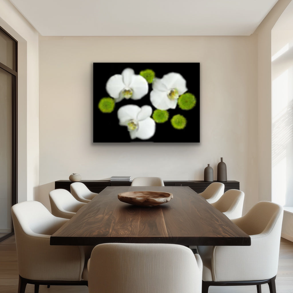 White orchids, Original black white & green Photography, Wall art home decor, Stretched Canvas, Fine Art Giclee PRINT by susanna shap