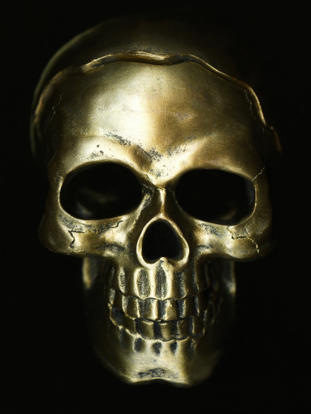 Gold skull on black goth Original Photography Halloween Wall art decor, Stretched Canvas, Fine Art Giclee PRINT, Small-X large, Susanna Shap