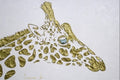 Abstract Original Giraffe Painting, Gold On White, palette knife impasto, 24”x36” MADE2ORDER
