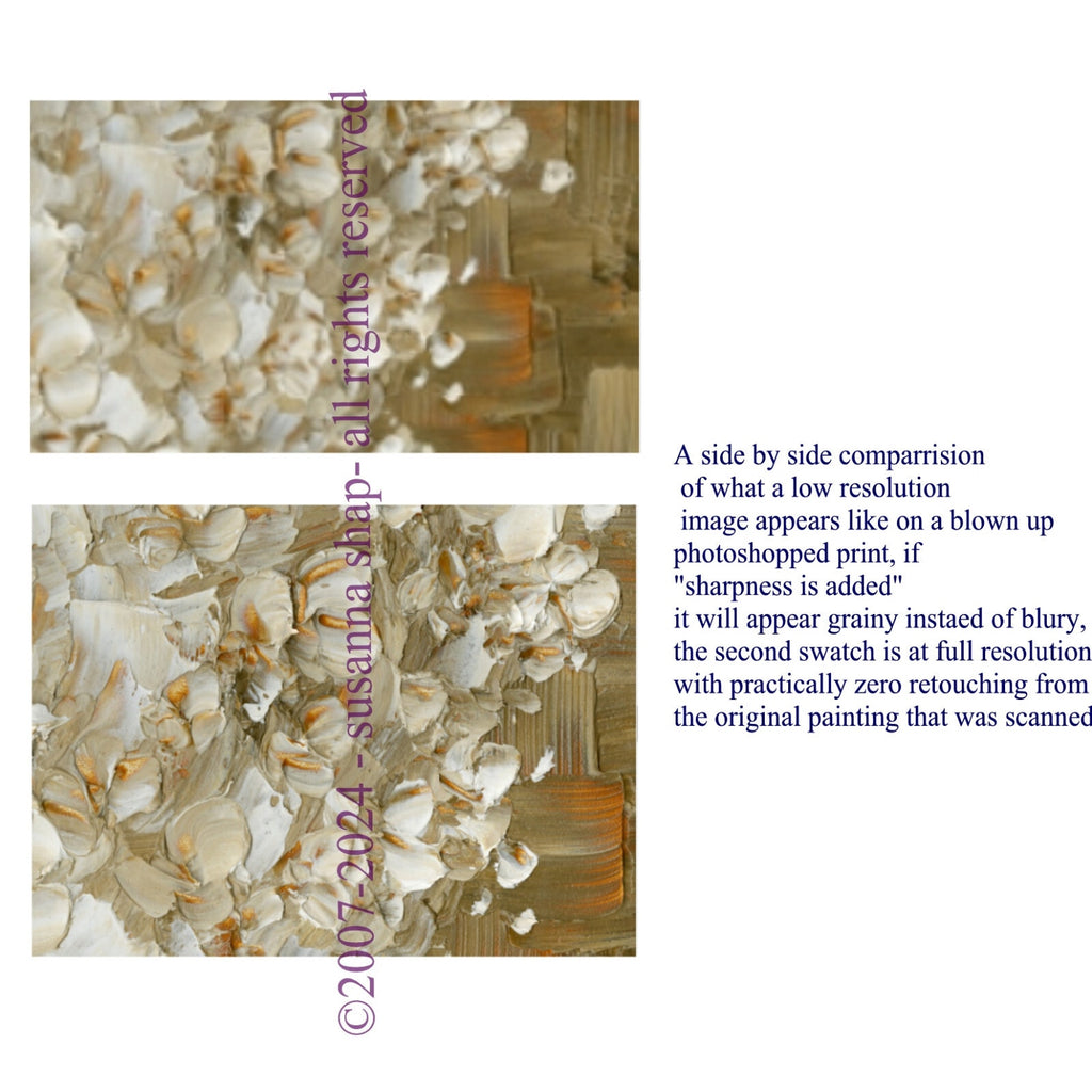 Tree art Large Abstract Wall Art Canvas PRINT White cherry blossom -Susanna Shap